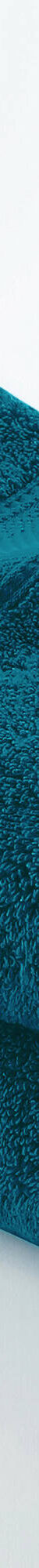 Collection serviettes de bain unies 540g/m2 confort luxe  (bleu paon) Collection serviettes de bain unies 540g/m2 confort luxe  (bleu paon)